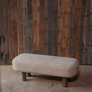 Modern Upholstered Wooden Bench